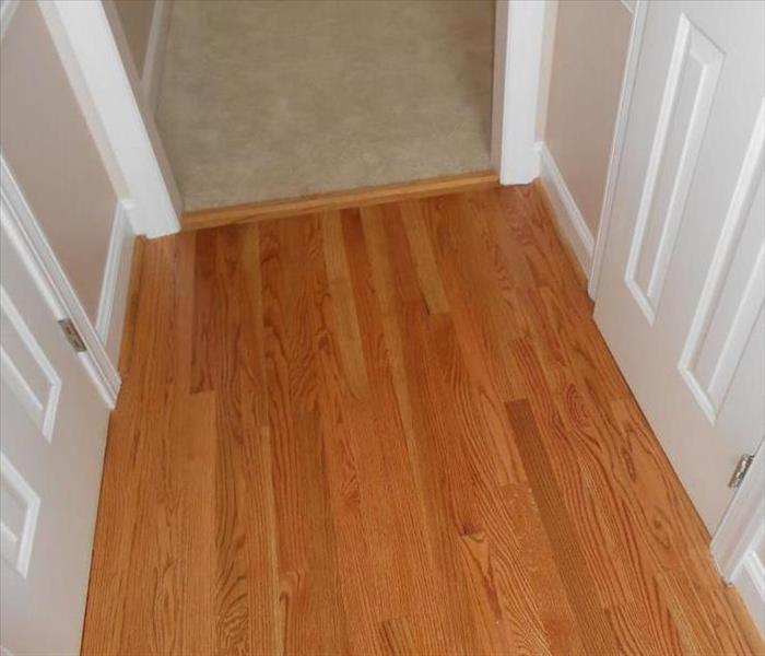 dry hardwood floors and carpet