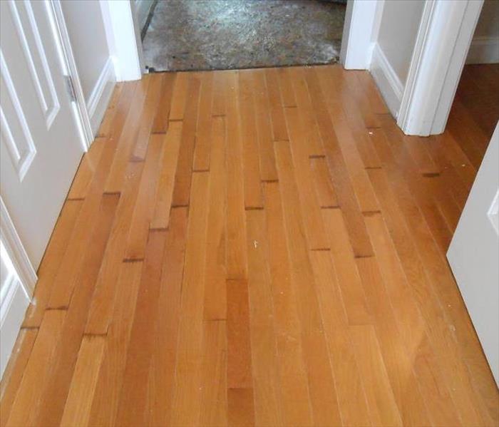wet hardwood floors and carpet