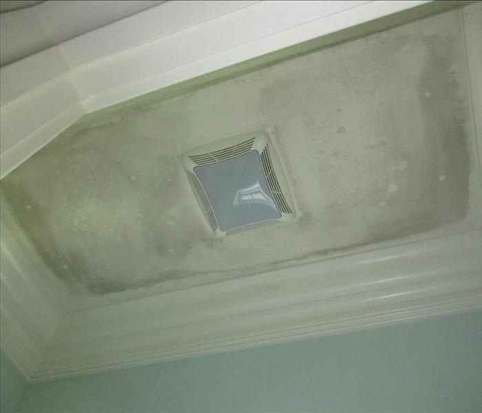 mold  growth on bathroom ceiling