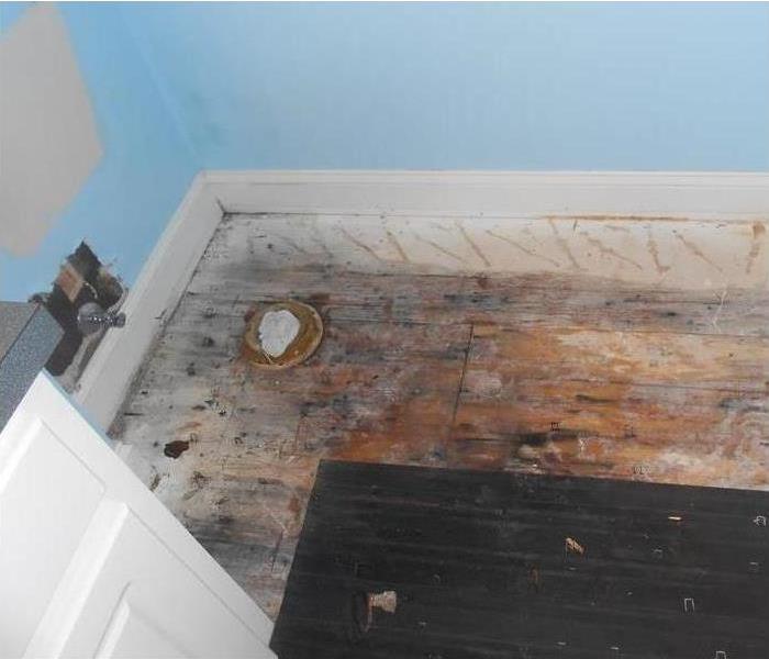 floor ripped out and wet sub-floor underneath in bathroom