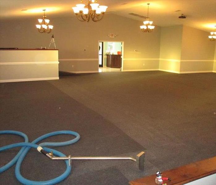 large carpeted area with carpet cleaner, dark carpet showing the before, lighter carpet showing the after
