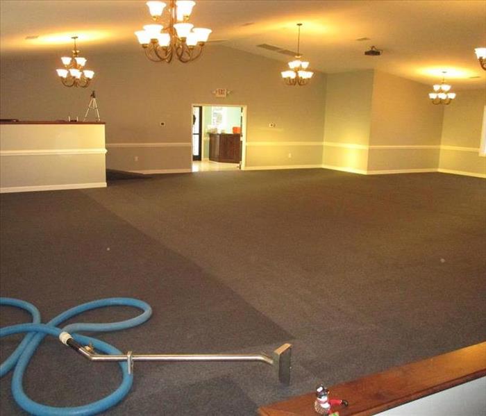 large carpet area with carpet cleaner in view, dark carpet shows the "before", lighter carpet shows the "after"
